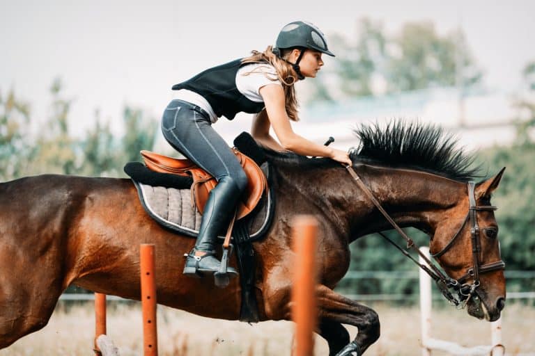 picture-of-young-pretty-girl-riding-horse